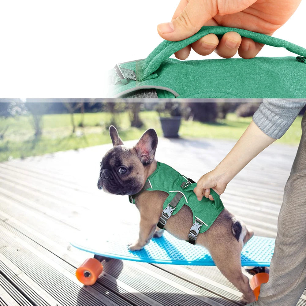 Gros plan sur la poignée renforcée du harnais anti-fugue pour chien, pratique pour contrôler l’animal.