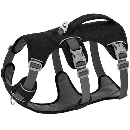 Harnais anti-fugue utilisé pour le sport, l’entraînement et les promenades avec chiens actifs.