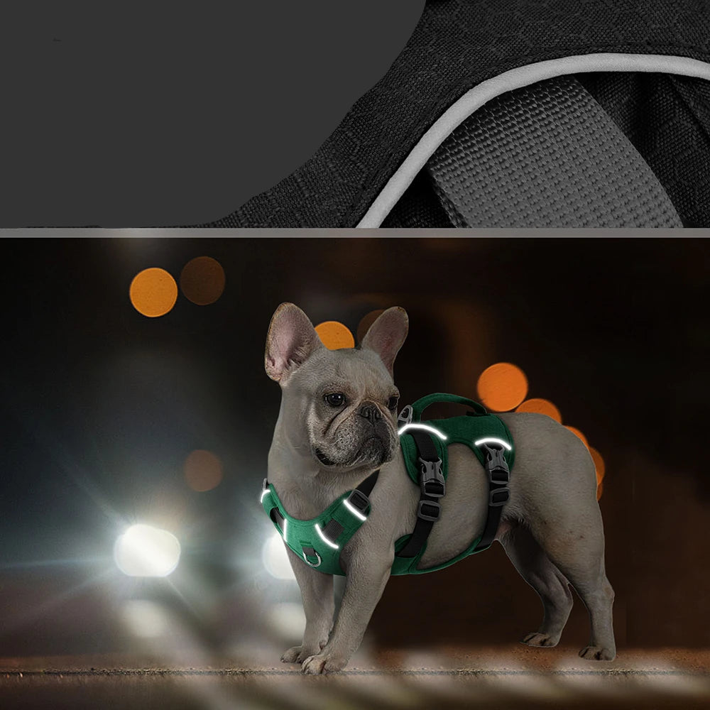 Chien portant un harnais anti-fugue réfléchissant la nuit pour une meilleure visibilité et sécurité.