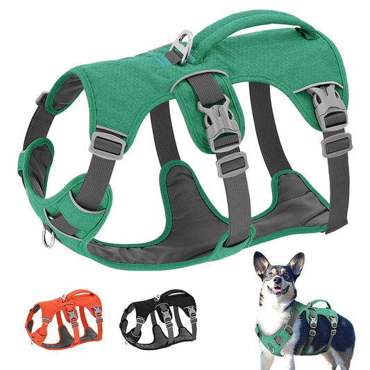 Harnais anti-fugue pour chien en nylon vert avec boucles ajustables et poignée dorsale de contrôle.