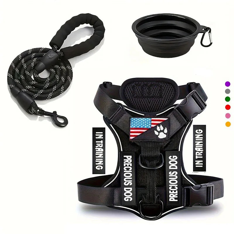 Harnais noir avec bandes réfléchissantes pour chien, fourni avec laisse solide et gamelle pliable.