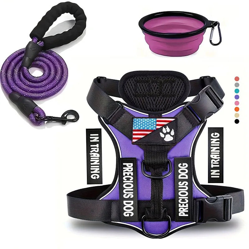 Harnais violet pour chien réglable et rembourré, avec laisse assortie et gamelle pliable.