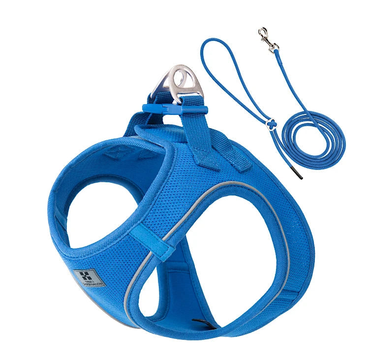 Harnais chien bleu foncé avec laisse de 2 m – tissu doux