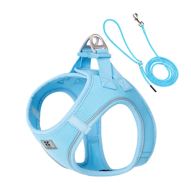 Harnais bleu clair pour chien avec laisse assortie