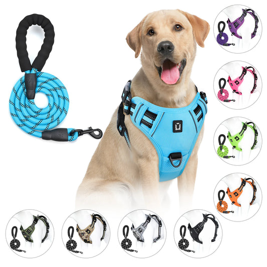 chien labrador portant un harnais bleu avec laisse assortie en corde résistante