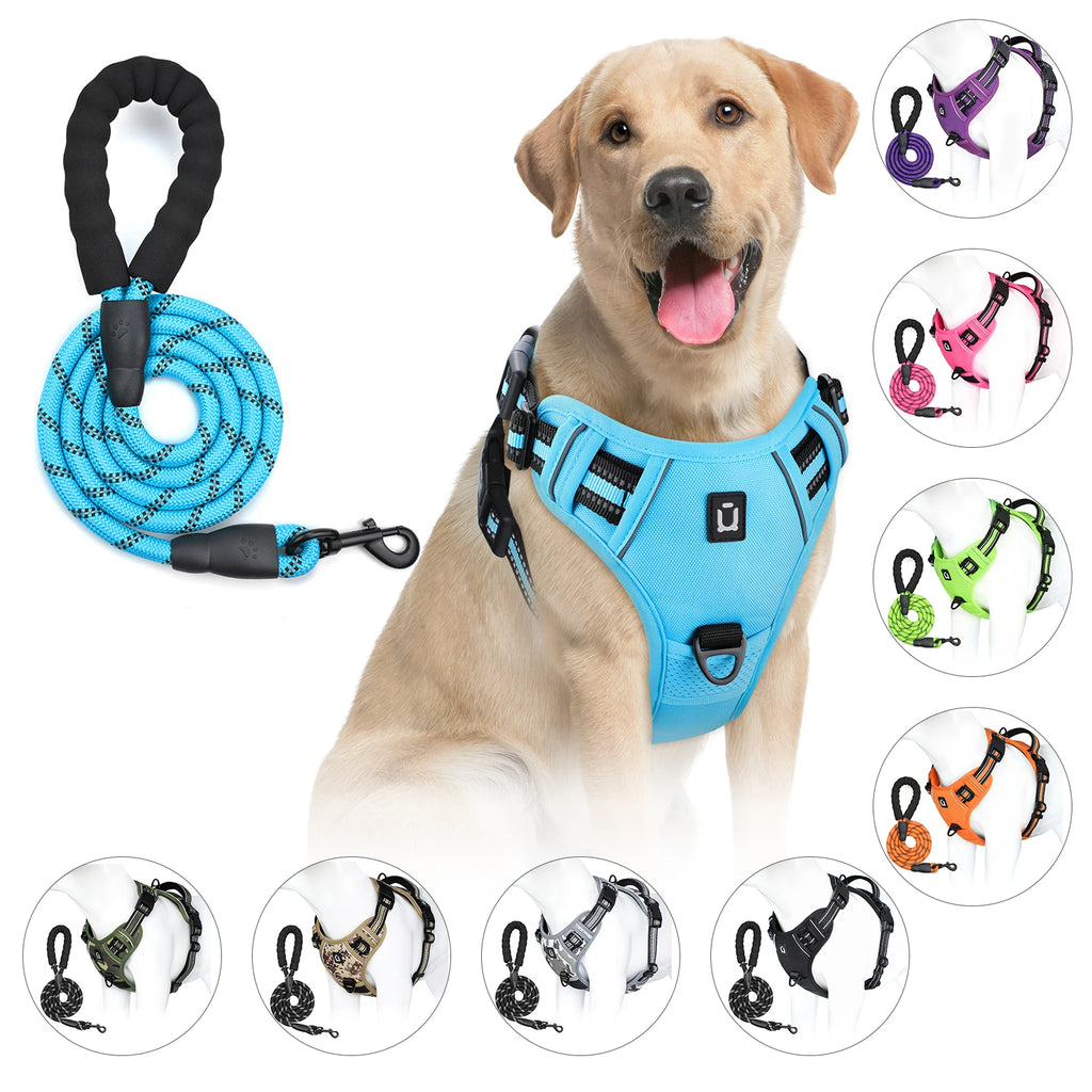 chien labrador portant un harnais bleu avec laisse assortie en corde résistante