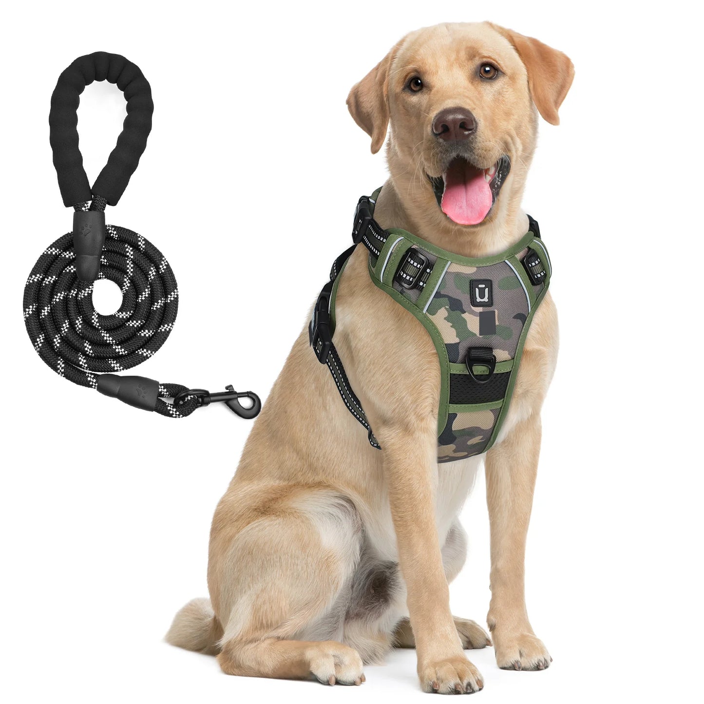 chien labrador portant un harnais camouflage vert robuste avec laisse noir et blanche incluse