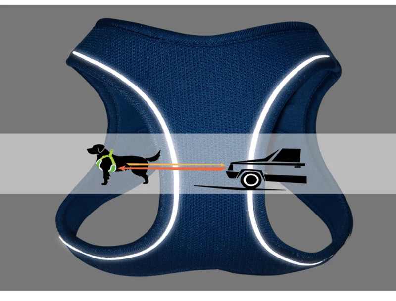 Harnais bleu foncé pour chien, design rembourré et réfléchissant (demonstration avec les phares d'une voiture)