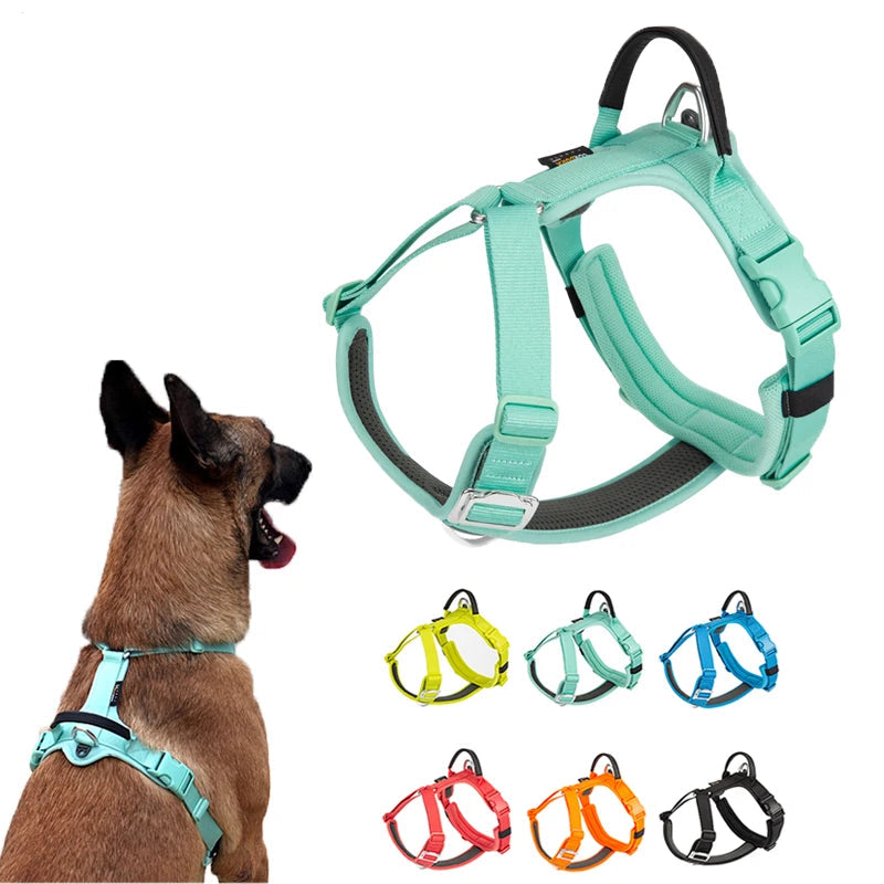 chien portant un harnais anti-traction réfléchissant vert avec aperçu des autres couleurs disponibles