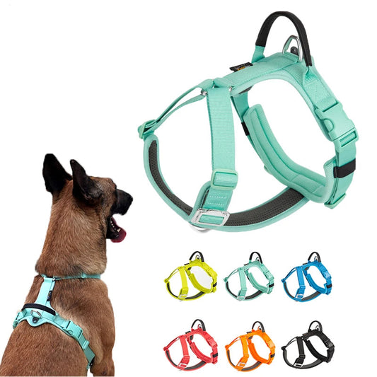 chien portant un harnais anti-traction réfléchissant vert avec aperçu des autres couleurs disponibles
