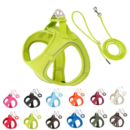 Harnais vert pour chien avec laisse assortie, réglable, respirant, réfléchissant