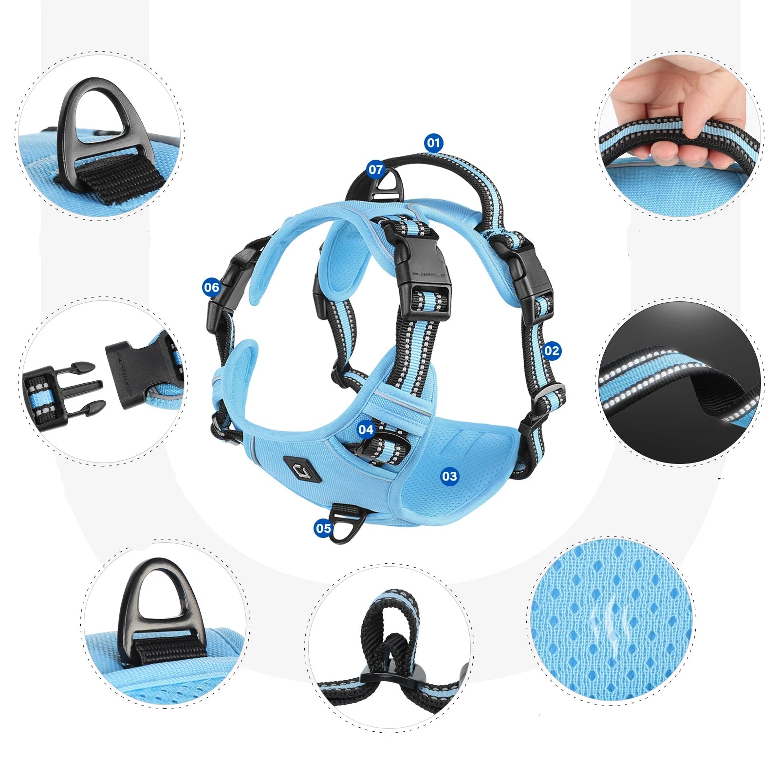 détails du harnais avec laisse pour chien, boucles solides et mousqueton