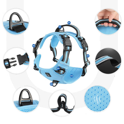 détails du harnais avec laisse pour chien, boucles solides et mousqueton