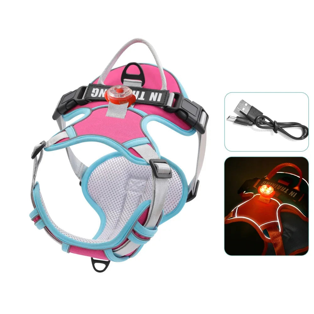 Harnais lumineux bleu clair pour chien avec lumière LED et velcro personnalisable.