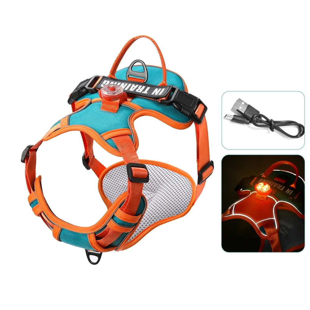 Harnais lumineux bleu gris pour chien avec tissu respirant et LED USB rechargeable.