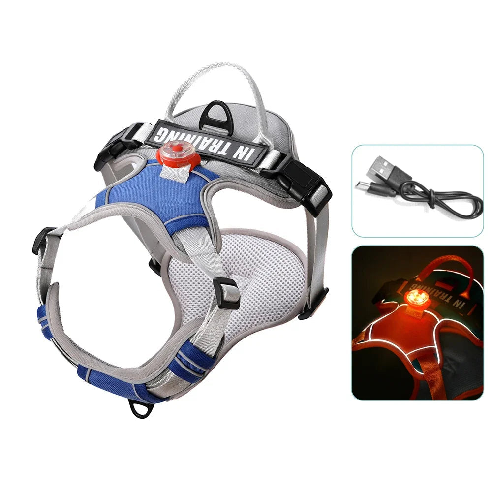 Harnais lumineux pour chien gris avec bandes réfléchissantes et lumière LED intégrée.