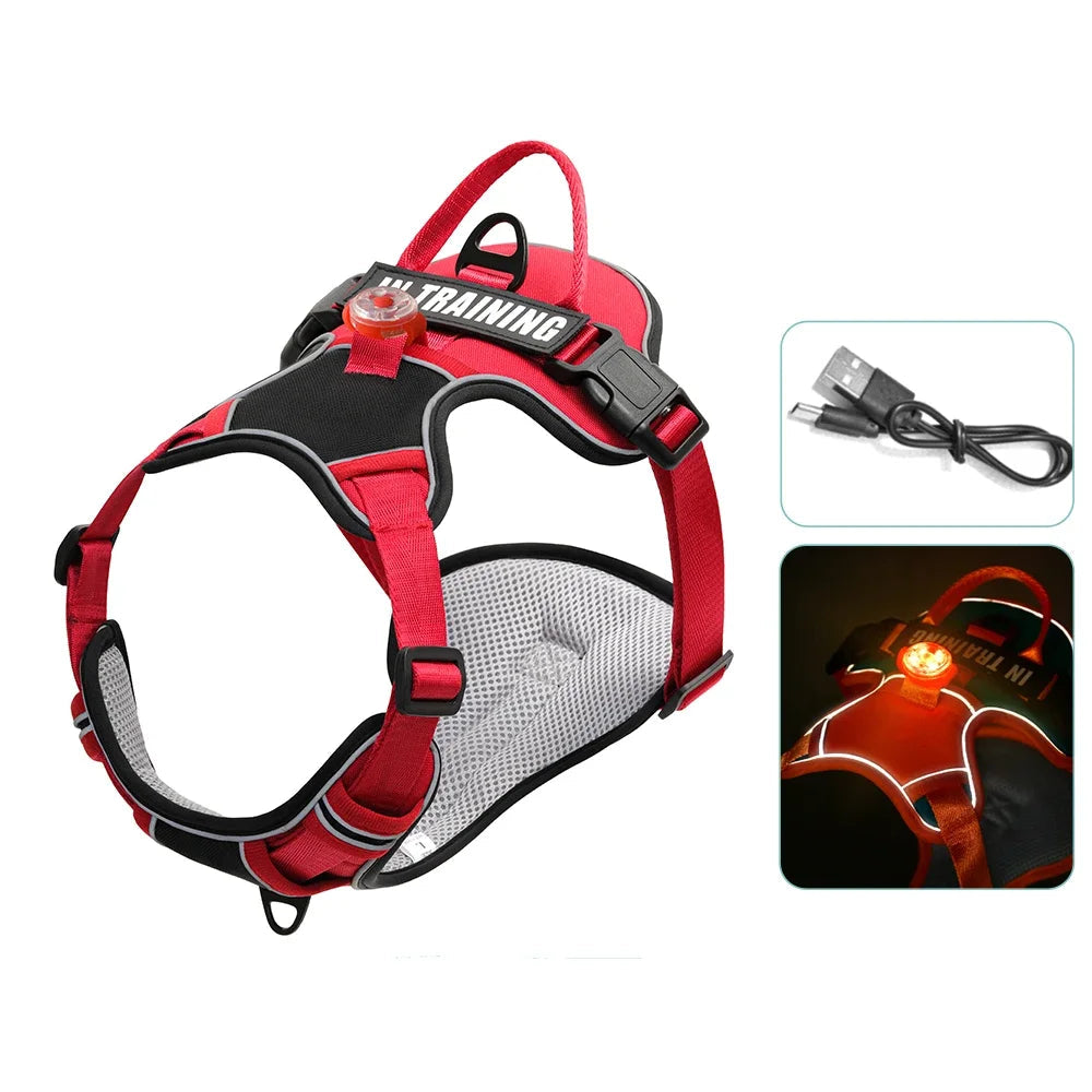 Harnais lumineux marron pour chien avec LED USB et tissu Oxford résistant.