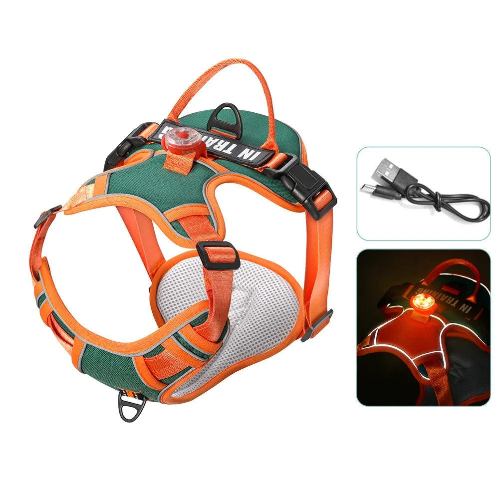 Harnais lumineux noir pour chien avec LED USB et poignée dorsale renforcée.