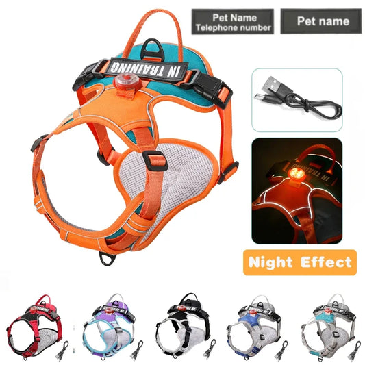 Harnais lumineux pour chien orange avec LED USB rechargeable et étiquette personnalisée nom et téléphone.