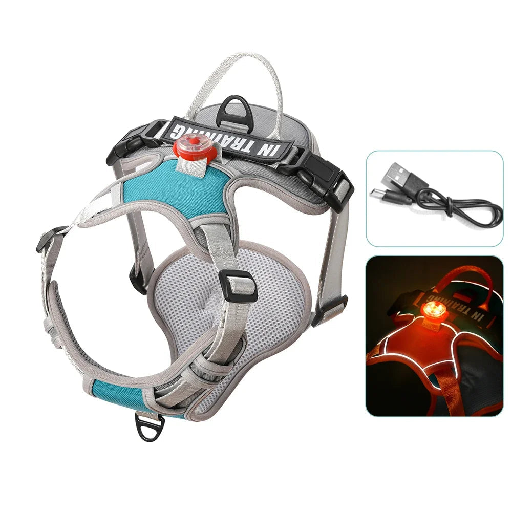 Harnais lumineux orange classique pour chien avec LED USB et sangles ajustables.