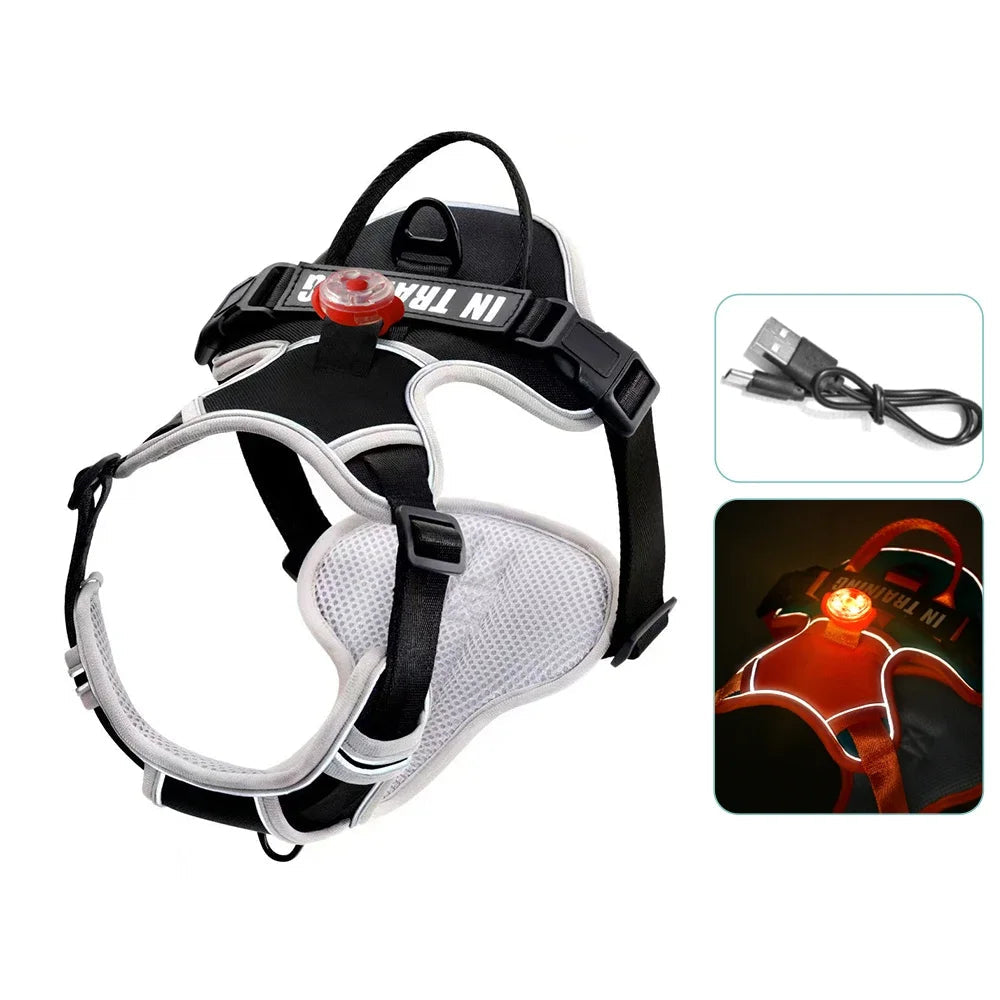 Harnais lumineux rose clair pour chien, personnalisable avec nom et numéro de téléphone.