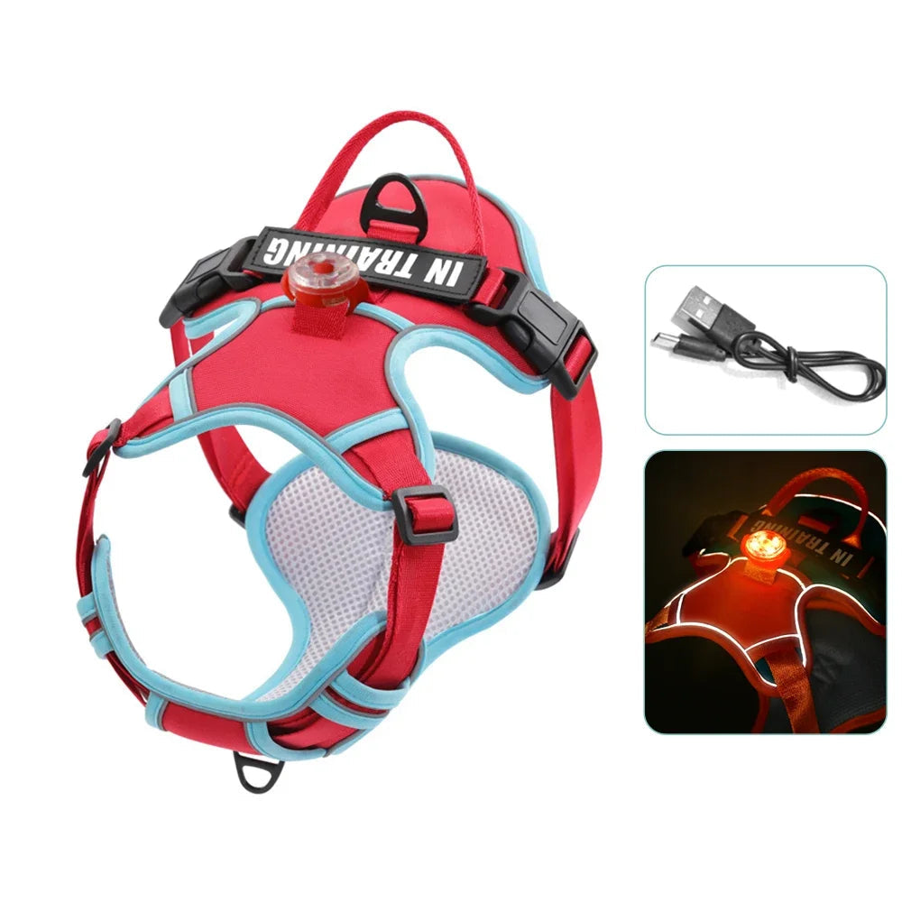 Harnais lumineux pour chien rouge avec LED USB rechargeable et sangle réfléchissante.