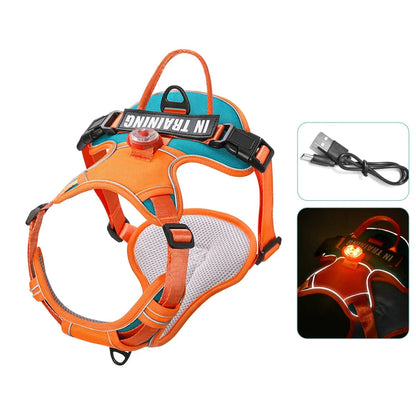 Harnais lumineux rouge et noir avec LED USB et bandes réfléchissantes haute visibilité.