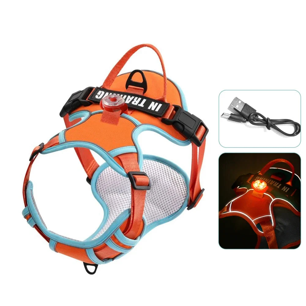 Harnais lumineux rouge vif avec LED USB et sangle respirante pour promenade sécurisée.