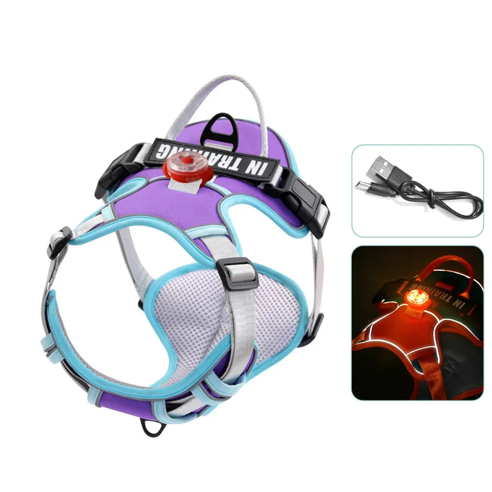 Harnais lumineux pour chien violet équipé d’une LED USB et d’une étiquette personnalisée.