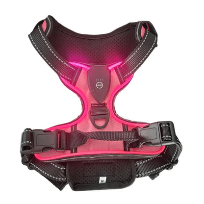 harnais lumineux pour chien rose avec LED rechargeables, modèle anti-traction