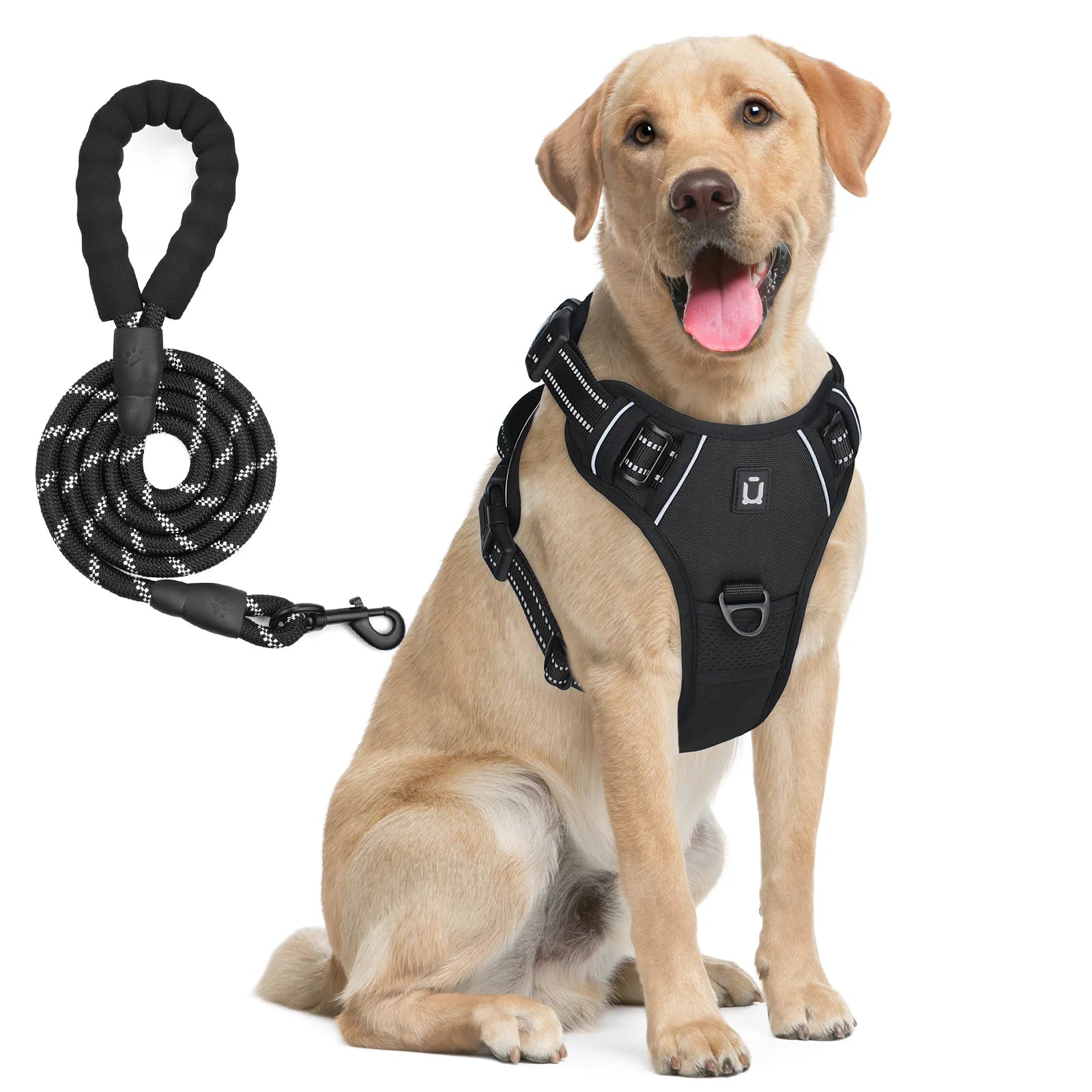 chien labrador portant un harnais noir avec laisse en corde
Il se promène dans la nature