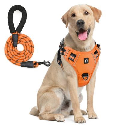 chien labrador équipé d’un harnais orange avec laisse en corde assortie