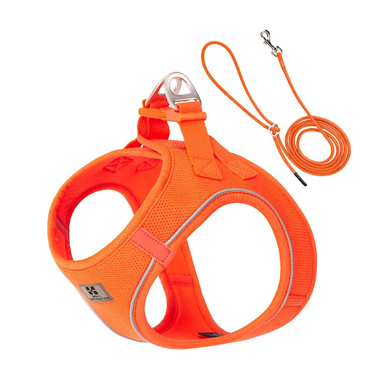 Harnais orange vif avec maille respirante pour balade