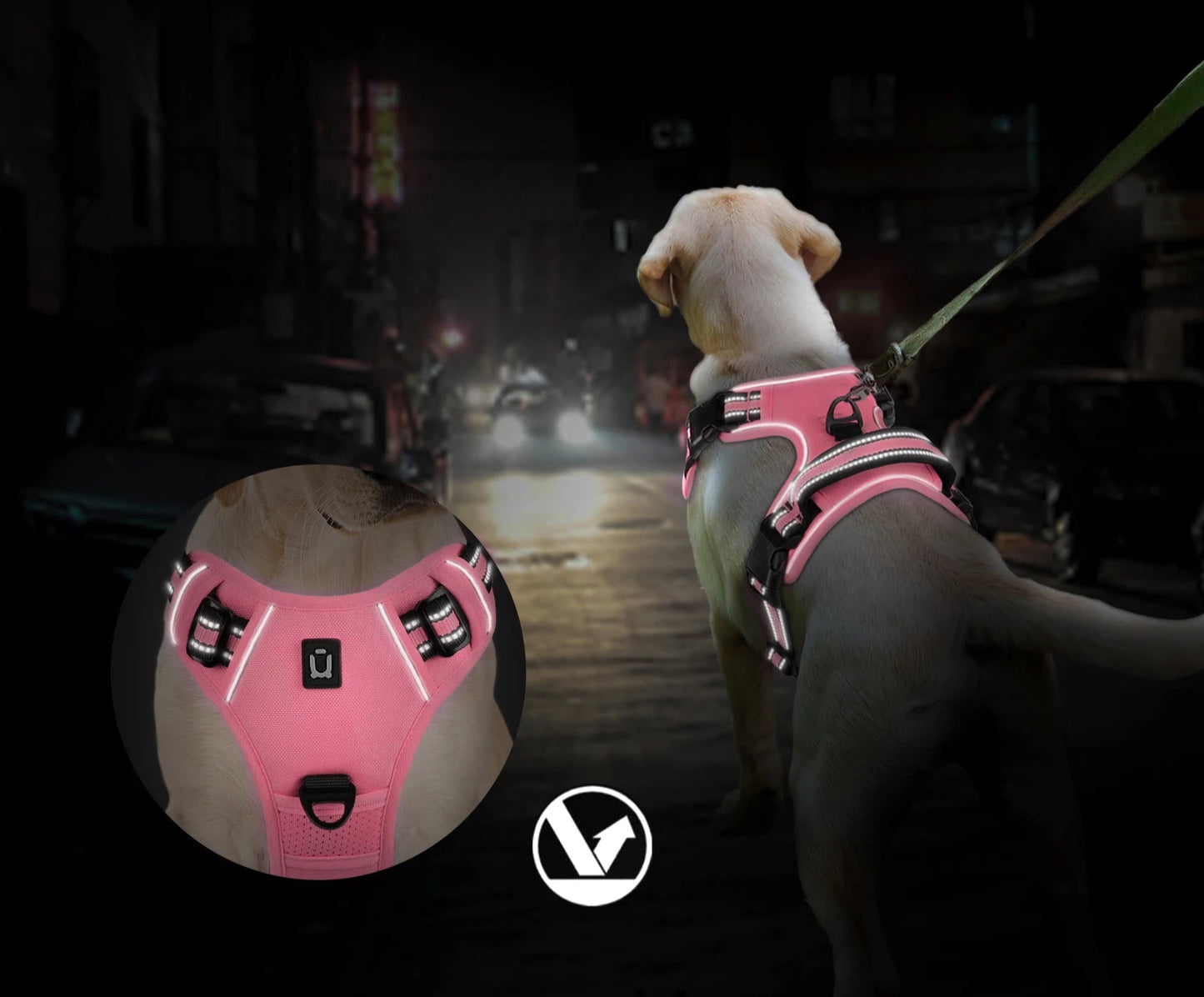 chien portant un harnais rose fluo réfléchissant, idéal pour sorties nocturnes.
harnais rose porté par un chien la nuit