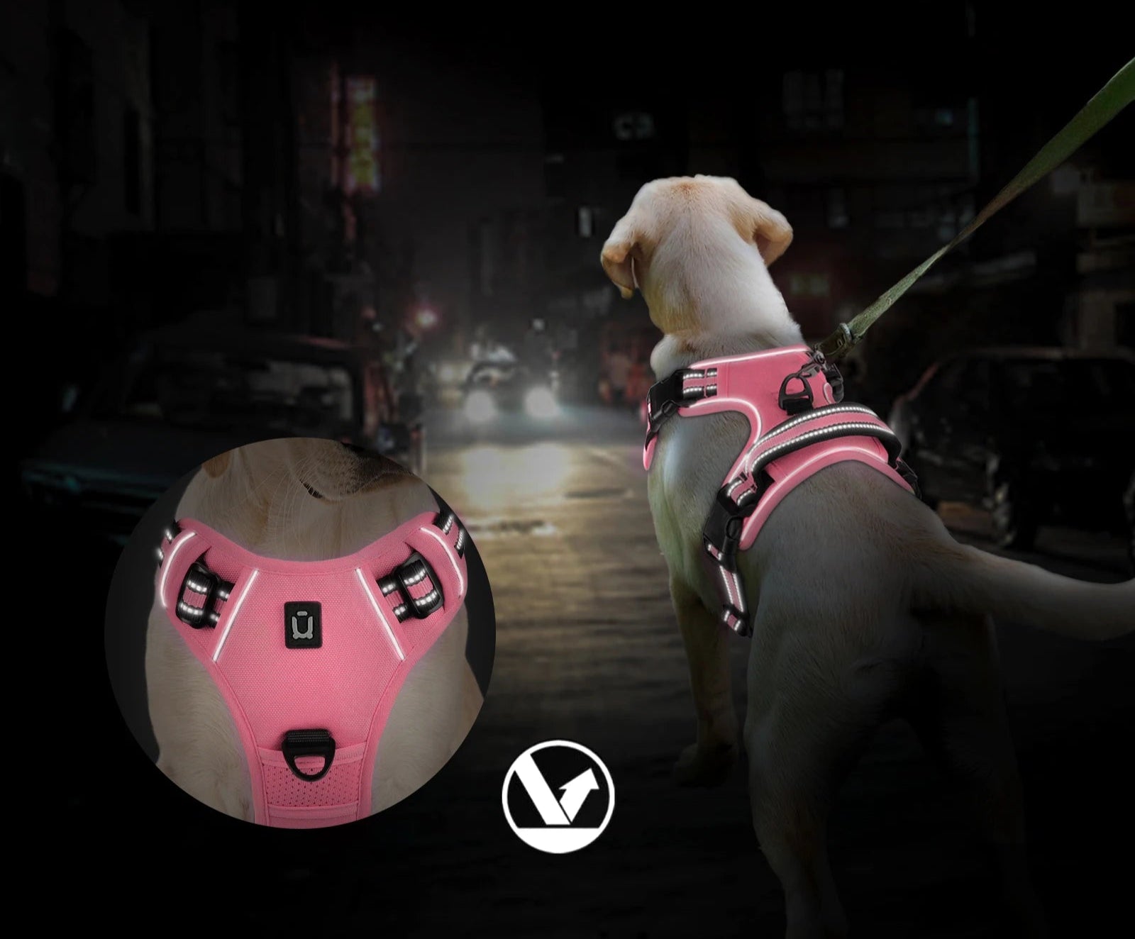chien portant un harnais rose fluo réfléchissant, idéal pour sorties nocturnes.
harnais rose porté par un chien la nuit