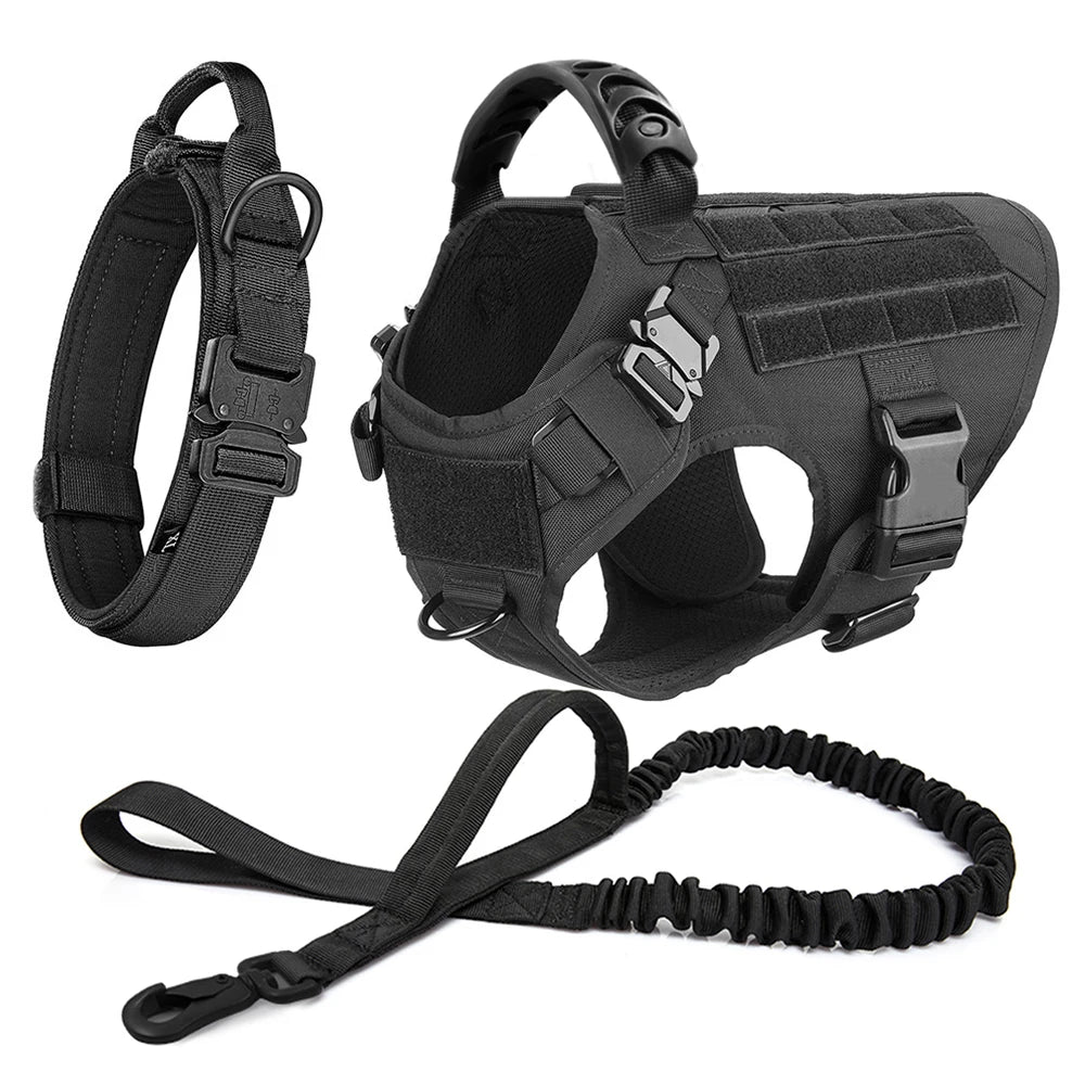 harnais tactique couleur noir pour chien avec coutures renforcées et design uni avec laisse et collier