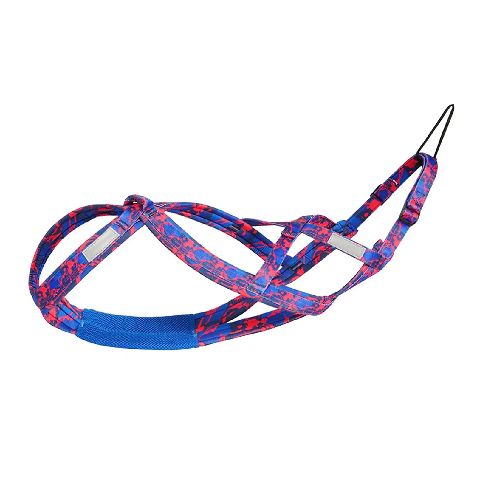 harnais de traction bleu pour chien, idéal sport, traîneau et husky