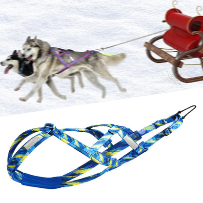 détail du harnais de traction bleu pour chien, nylon robuste et couture renforcée
