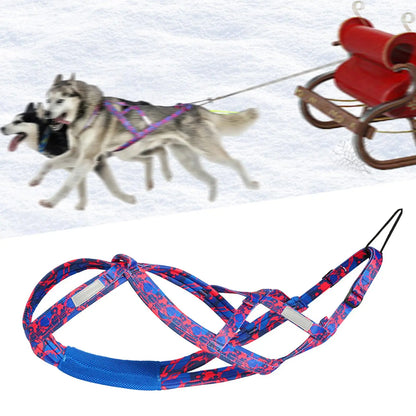 détail du harnais de traction rouge pour chien, conçu pour la résistance et le confort