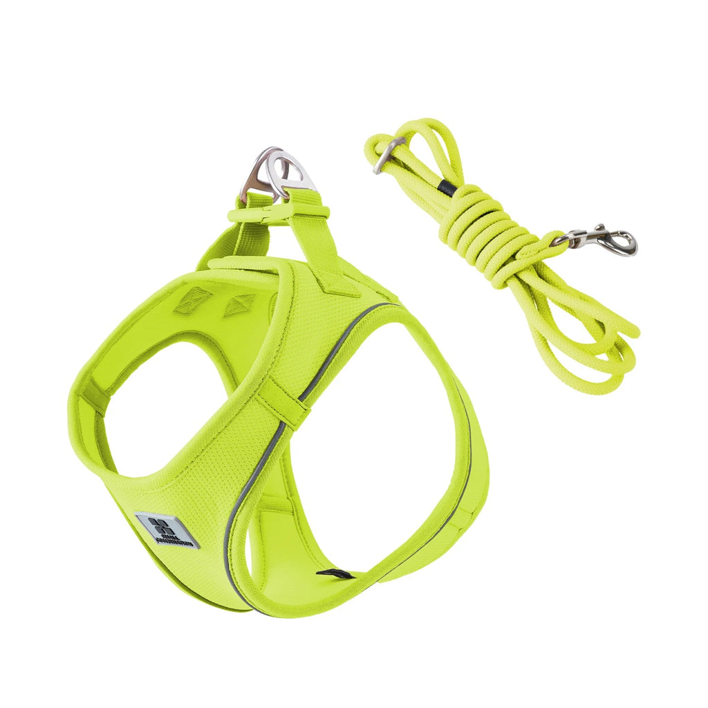 Harnais vert clair pour petit chien avec laisse ajustable incluse