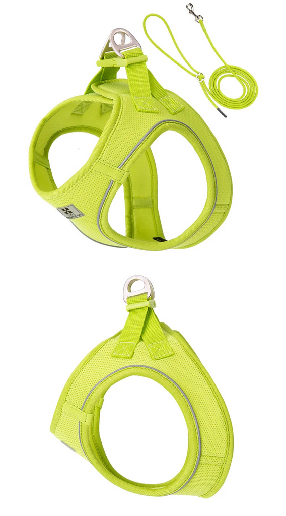 Harnais vert vif avec maille respirante pour balade