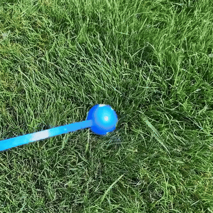 Homme lançant une balle à son chien dans un parc vert