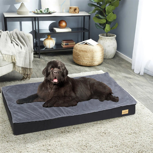 lit housse amovible et lavable du lit orthopédique imperméable pour chien BORWART  et coussin imperméable pour chien gris avec housse lavable BORWART
Le grand chien noir est heureux