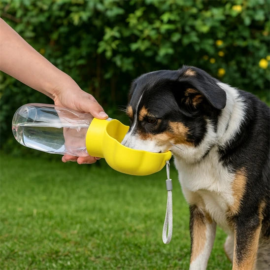 chien noir et blanc buvant de l’eau dans une gourde pour chien jaune