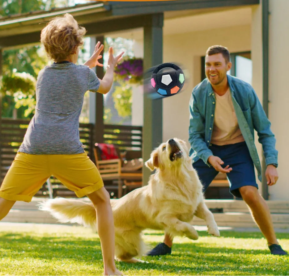 Un maître joue avec son chien en extérieur à lancer le ballon avec poignée.