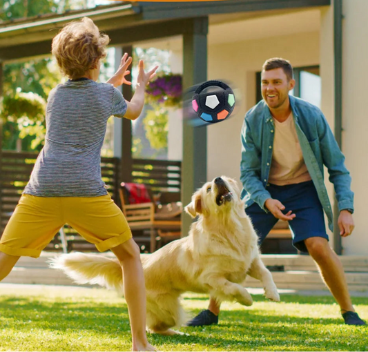 Un maître joue avec son chien en extérieur à lancer le ballon avec poignée.