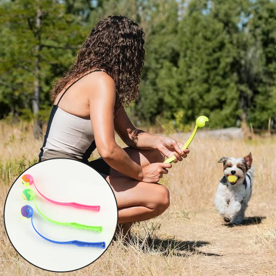 Lanceur de balle manuel utilisé à la plage pour jouer avec un chien