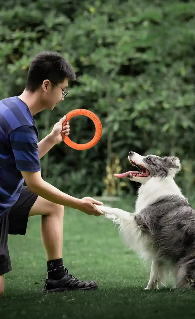 Enfant lançant un AeroTruffe™ à son chien lors d’une session d'entraînement extérieur.