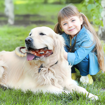 Jouet solide pour chiens moyens et grands avec différentes formes de mastication