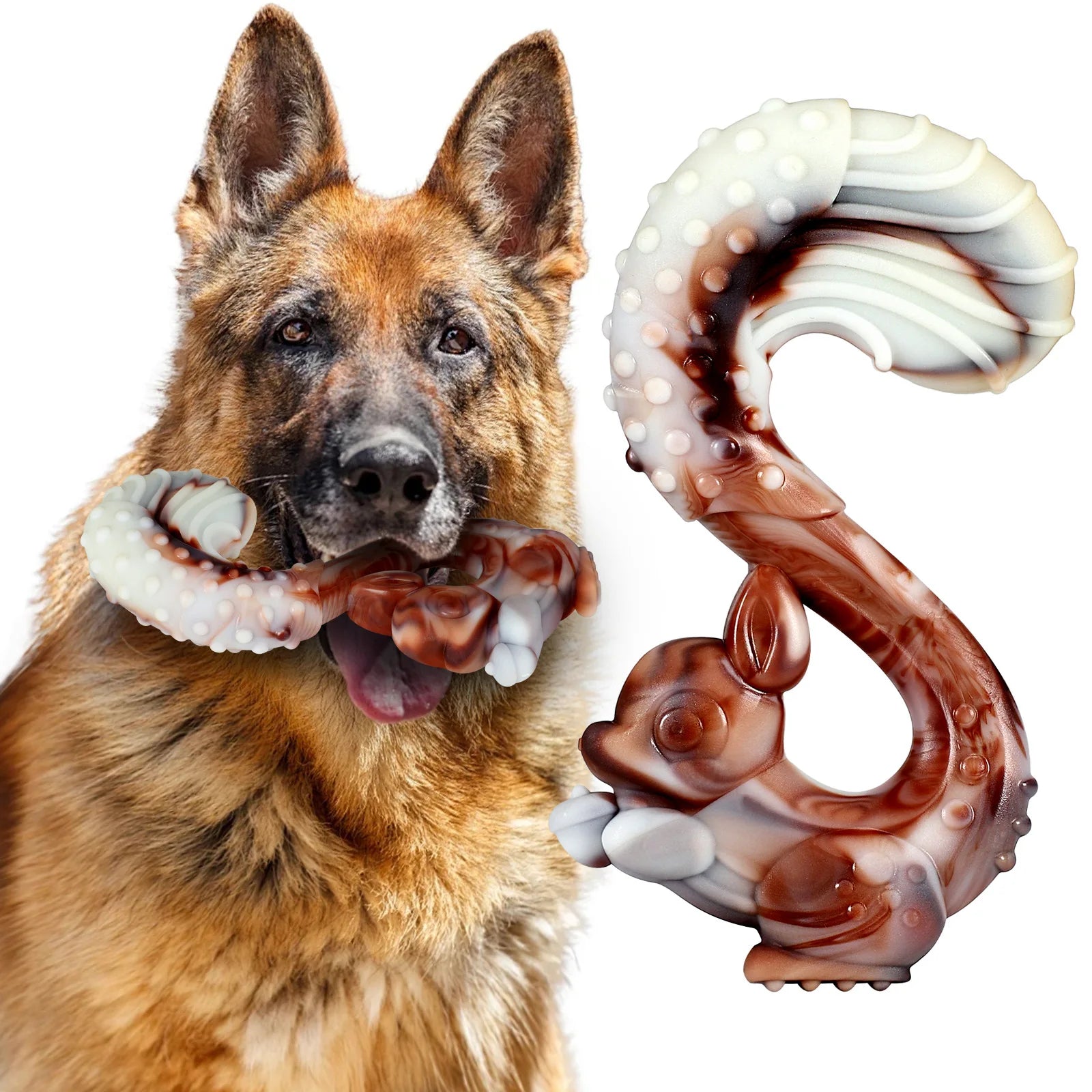Chien mâchant un jouet indestructible en forme d’écureuil pour gros chien